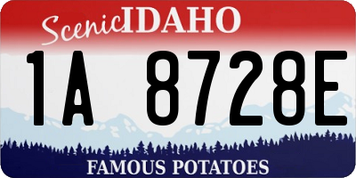 ID license plate 1A8728E