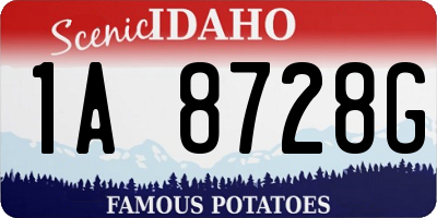 ID license plate 1A8728G