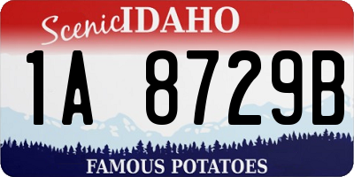 ID license plate 1A8729B