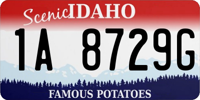 ID license plate 1A8729G