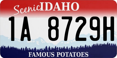 ID license plate 1A8729H