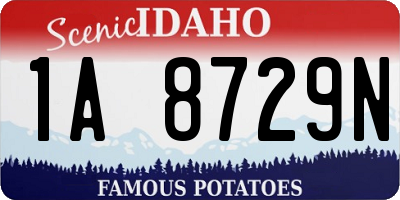 ID license plate 1A8729N
