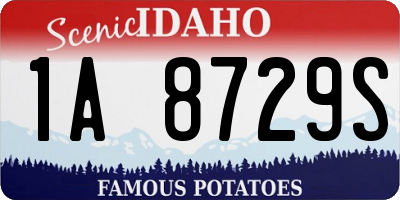 ID license plate 1A8729S