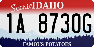 ID license plate 1A8730G