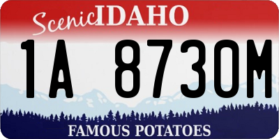 ID license plate 1A8730M