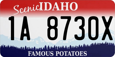 ID license plate 1A8730X