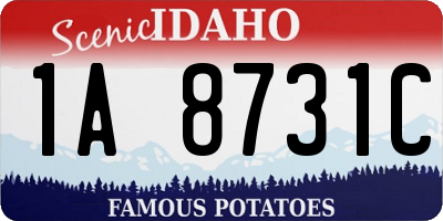 ID license plate 1A8731C
