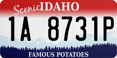 ID license plate 1A8731P