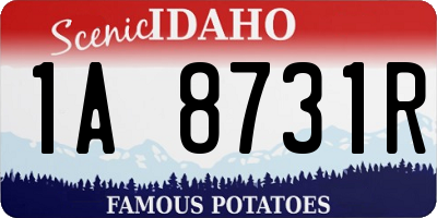 ID license plate 1A8731R