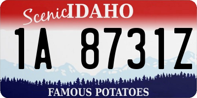ID license plate 1A8731Z