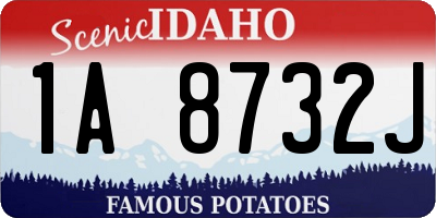 ID license plate 1A8732J