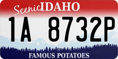 ID license plate 1A8732P