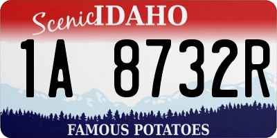 ID license plate 1A8732R