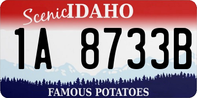 ID license plate 1A8733B