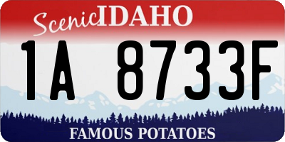 ID license plate 1A8733F