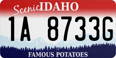 ID license plate 1A8733G
