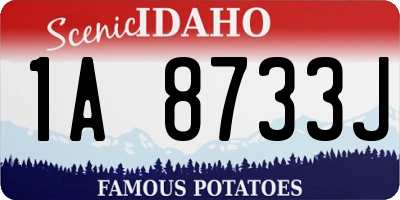 ID license plate 1A8733J