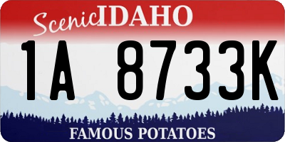 ID license plate 1A8733K