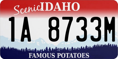 ID license plate 1A8733M