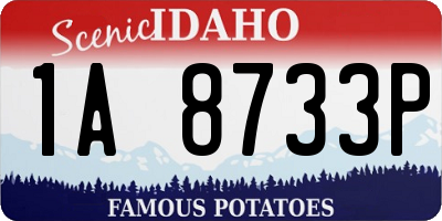 ID license plate 1A8733P