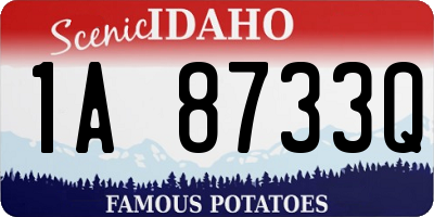 ID license plate 1A8733Q