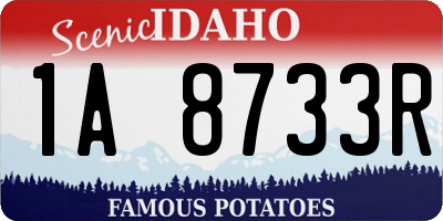 ID license plate 1A8733R