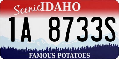 ID license plate 1A8733S