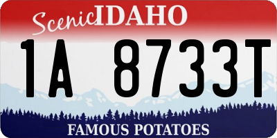 ID license plate 1A8733T
