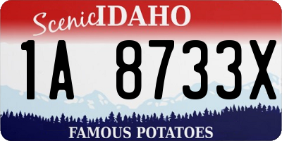 ID license plate 1A8733X