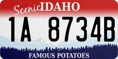 ID license plate 1A8734B