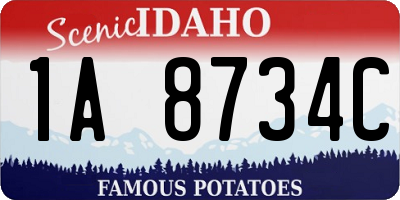 ID license plate 1A8734C