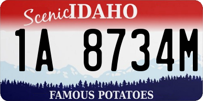 ID license plate 1A8734M