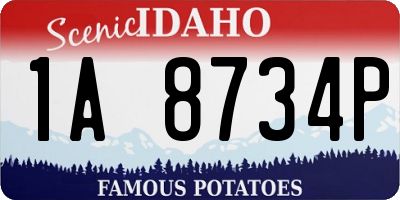 ID license plate 1A8734P