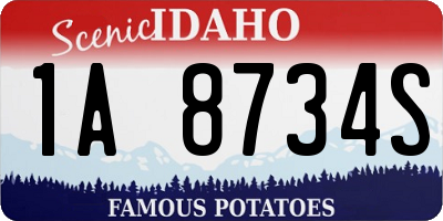ID license plate 1A8734S