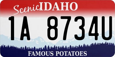ID license plate 1A8734U