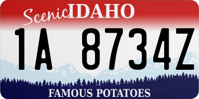ID license plate 1A8734Z