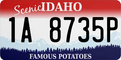 ID license plate 1A8735P