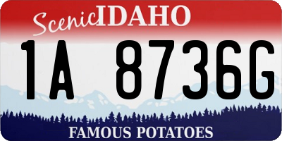 ID license plate 1A8736G