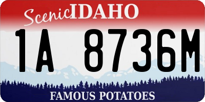 ID license plate 1A8736M