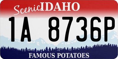 ID license plate 1A8736P