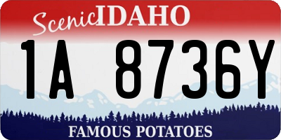 ID license plate 1A8736Y