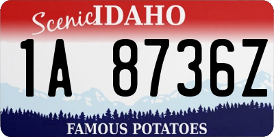 ID license plate 1A8736Z