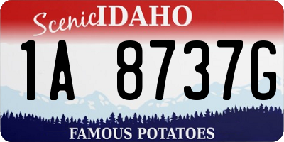 ID license plate 1A8737G