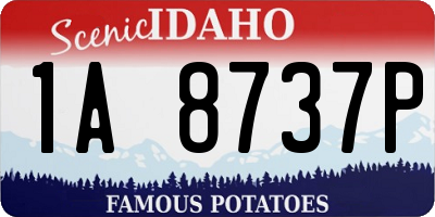 ID license plate 1A8737P