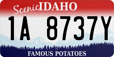 ID license plate 1A8737Y