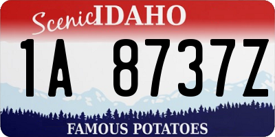 ID license plate 1A8737Z