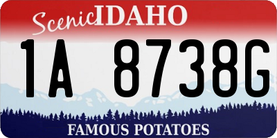 ID license plate 1A8738G