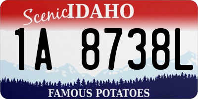 ID license plate 1A8738L