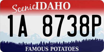 ID license plate 1A8738P