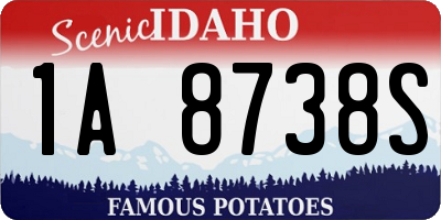 ID license plate 1A8738S